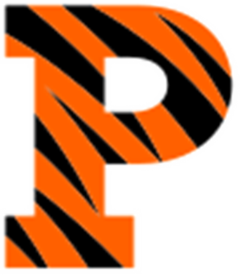 Princeton Hockey